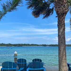 Meet your Posher, Sophia